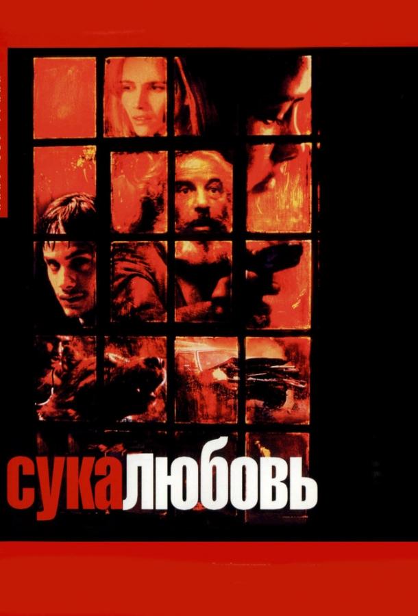 Фильм Сука-любовь (2000) смотреть онлайн в хорошем качестве